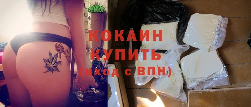 где можно купить наркотик  blacksprut   Cocaine FishScale  Курчалой 